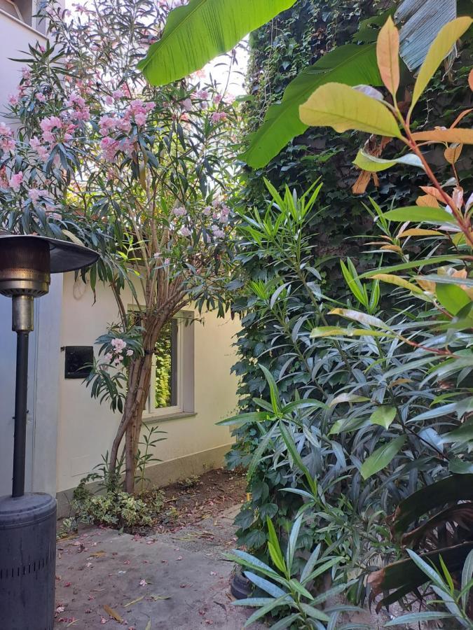 Musa Paradisiaca 6, Un Angolo Tropicale A Torino Turim Exterior foto