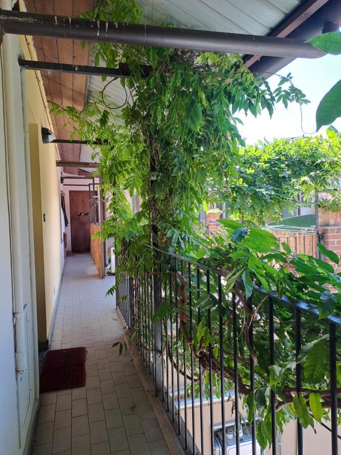 Musa Paradisiaca 6, Un Angolo Tropicale A Torino Turim Exterior foto