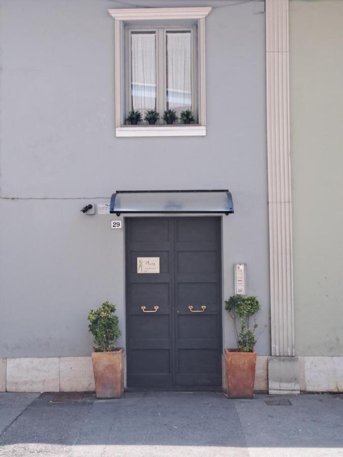 Musa Paradisiaca 6, Un Angolo Tropicale A Torino Turim Exterior foto